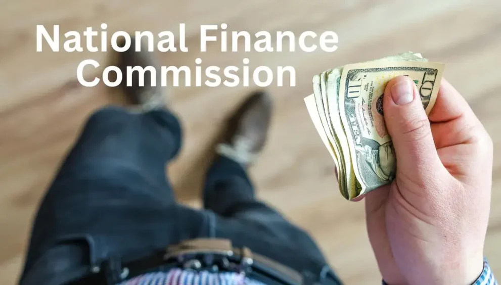 What is National Finance Commission