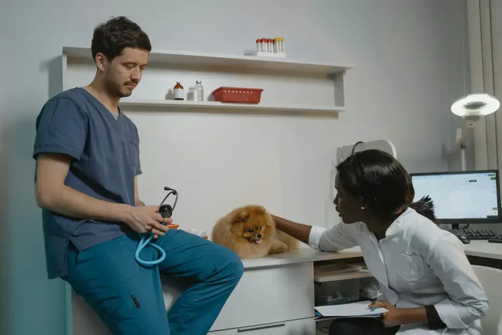 how much do vet techs make in USA